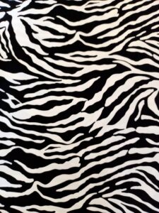 Zebra Black & White